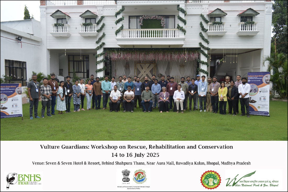 Vulture Guardians: National Workshop on Rescue, Rehabilitation, and Conservation 