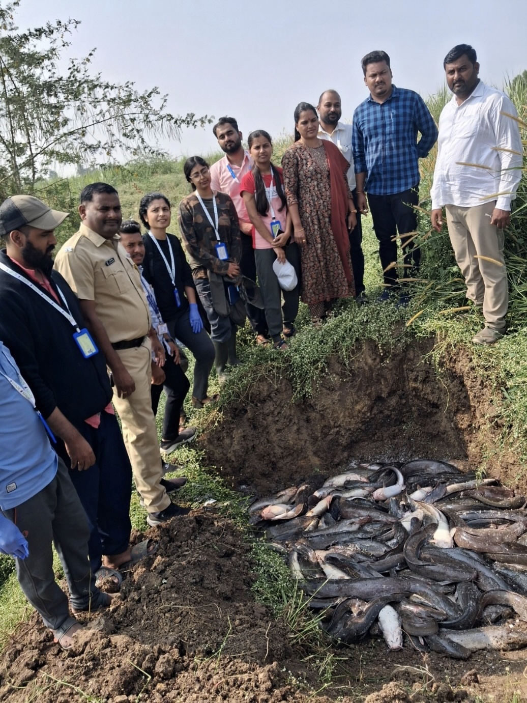 Maharashtra Fisheries Department officials (led by Mrs. Archana Shinde, Assistant Commissioner of Fisheries) seized 2.4 tons of African catfish from Ujani, Pune. BNHS (Dr. Unmesh Katwate and his team) assisted with species identification and water quality assessment to evaluate the impact of these illegal aquaculture practices on Ujani wetland.